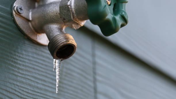 Best Shower Repair Services  in Yellville, AR